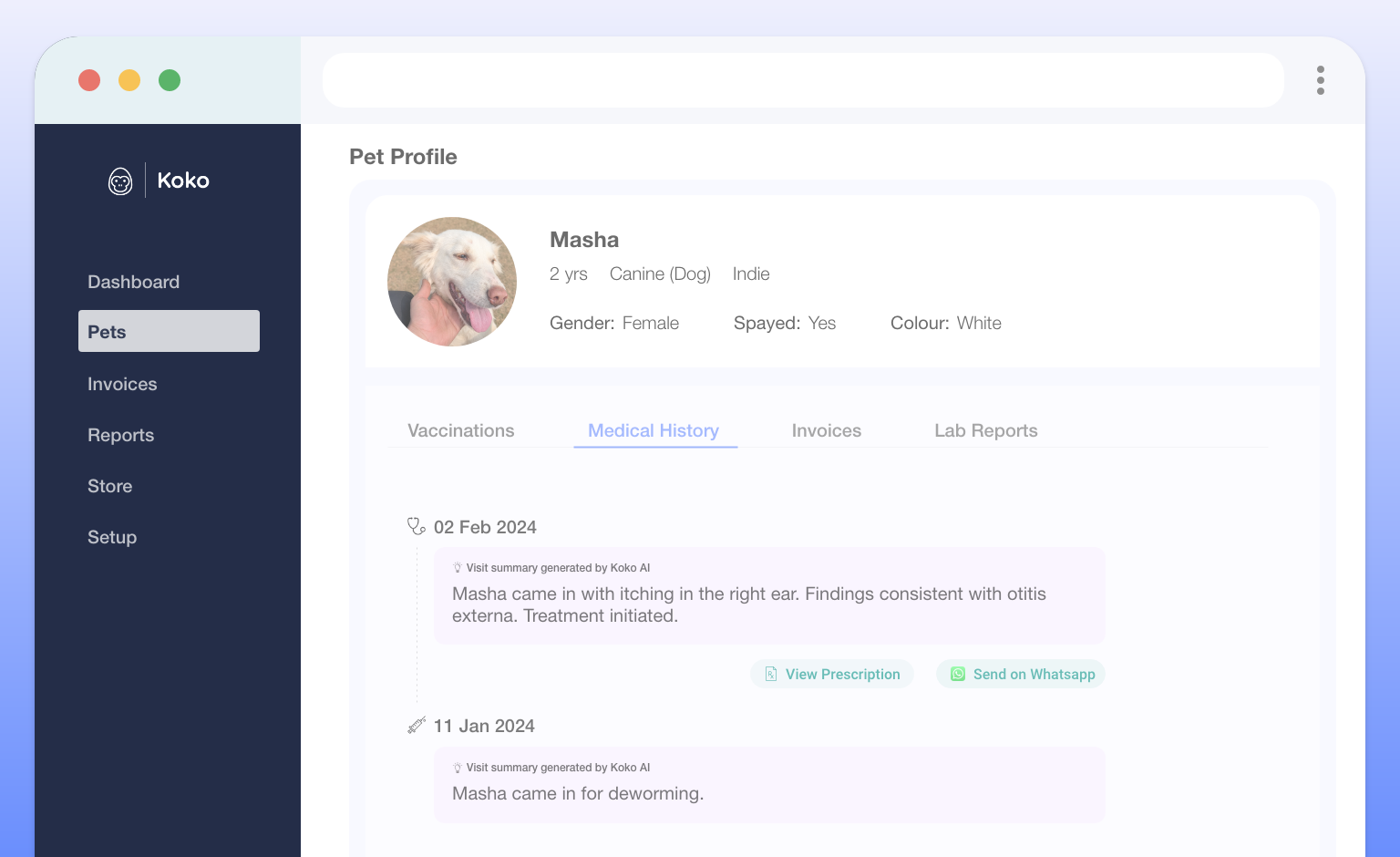 Pet Profiles & Digital Medical Records